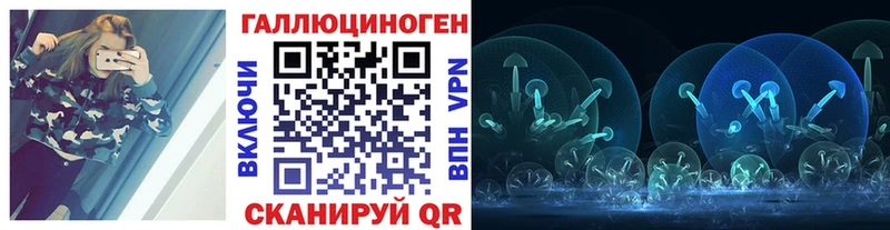 Псилоцибиновые грибы Psilocybine cubensis  Кольчугино 